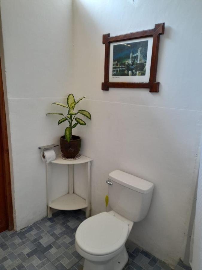 Casa Yoly Hostel Granada Eksteriør bilde